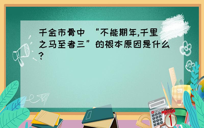 千金市骨中 “不能期年,千里之马至者三”的根本原因是什么?