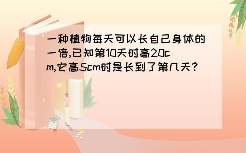 一种植物每天可以长自己身体的一倍,已知第10天时高20cm,它高5cm时是长到了第几天?