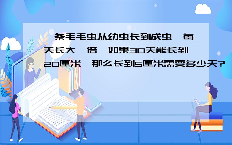 一条毛毛虫从幼虫长到成虫,每天长大一倍,如果30天能长到20厘米,那么长到5厘米需要多少天?