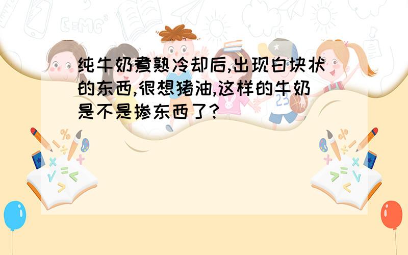 纯牛奶煮熟冷却后,出现白块状的东西,很想猪油,这样的牛奶是不是掺东西了?