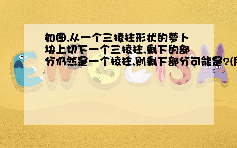 如图,从一个三棱柱形状的萝卜块上切下一个三棱柱,剩下的部分仍然是一个棱柱,则剩下部分可能是?(所有几何体的名称），所有可能性