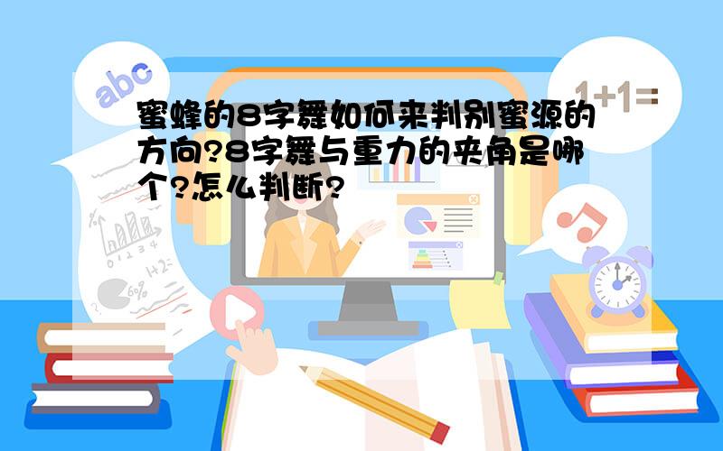 蜜蜂的8字舞如何来判别蜜源的方向?8字舞与重力的夹角是哪个?怎么判断?