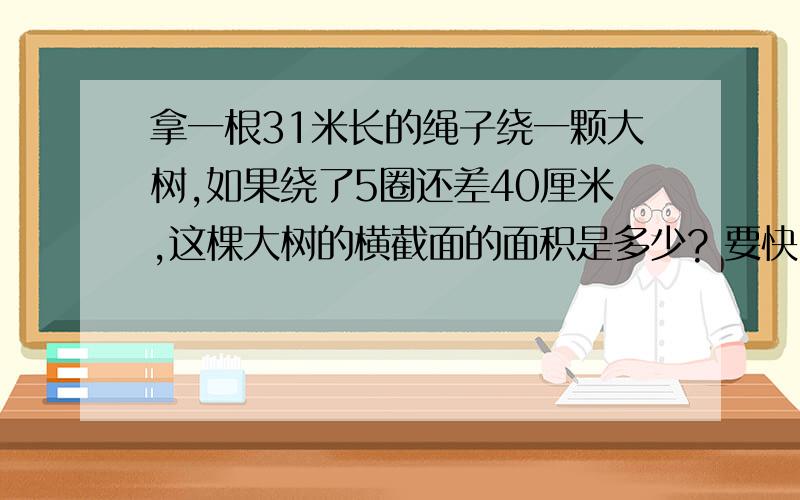 拿一根31米长的绳子绕一颗大树,如果绕了5圈还差40厘米,这棵大树的横截面的面积是多少? 要快