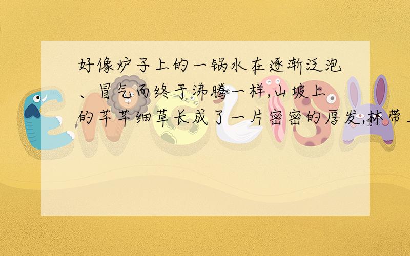 好像炉子上的一锅水在逐渐泛泡、冒气而终于沸腾一样,山坡上的芊芊细草长成了一片密密的厚发,林带上的淡淡绿烟也凝成了一堵黛色长墙.轻飞曼舞的蜂蝶不见了,却换来烦人的蝉儿,潜在树