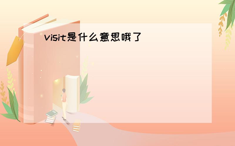 visit是什么意思哦了