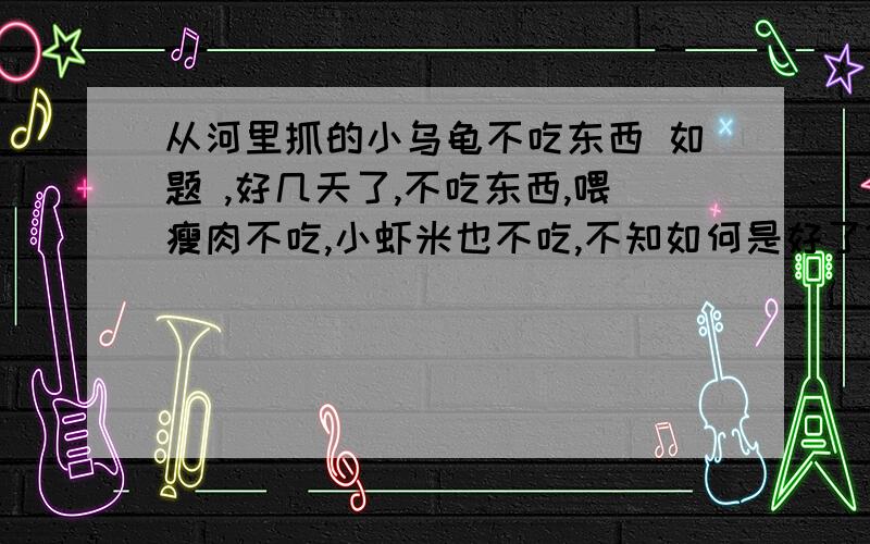 从河里抓的小乌龟不吃东西 如题 ,好几天了,不吃东西,喂瘦肉不吃,小虾米也不吃,不知如何是好了?