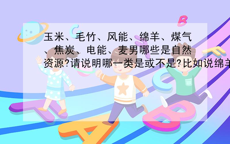 玉米、毛竹、风能、绵羊、煤气、焦炭、电能、麦男哪些是自然资源?请说明哪一类是或不是?比如说绵羊属于家畜,家畜是否属于自然资源,为什么?请一类一类地说明?是麦田.