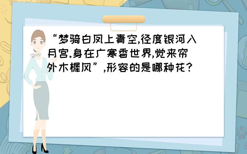 “梦骑白凤上青空,径度银河入月宫.身在广寒香世界,觉来帘外木樨风”,形容的是哪种花?