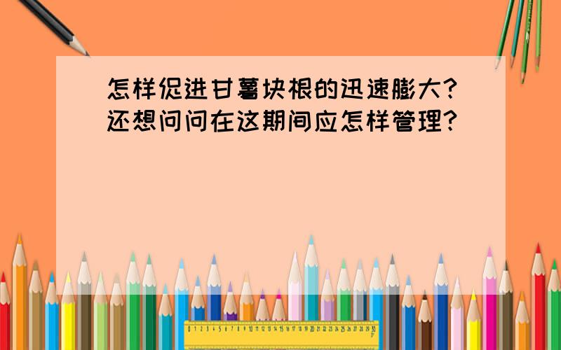 怎样促进甘薯块根的迅速膨大?还想问问在这期间应怎样管理?