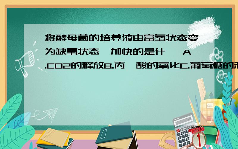 将酵母菌的培养液由富氧状态变为缺氧状态,加快的是什麽 A.CO2的释放B.丙酮酸的氧化C.葡萄糖的利用D.ATP的形成主要帮我解释一下丙酮酸的氧化量如何变化?