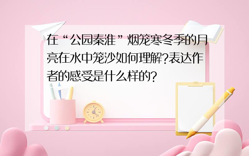 在“公园秦淮”烟笼寒冬季的月亮在水中笼沙如何理解?表达作者的感受是什么样的?