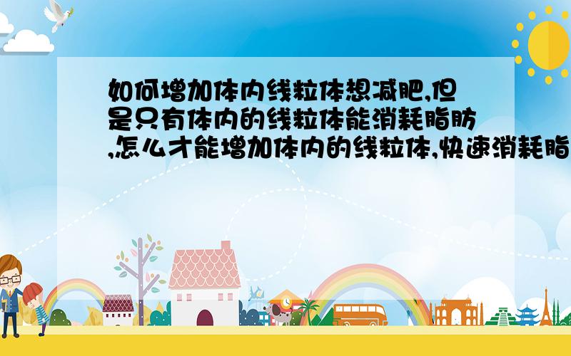 如何增加体内线粒体想减肥,但是只有体内的线粒体能消耗脂肪,怎么才能增加体内的线粒体,快速消耗脂肪呢?