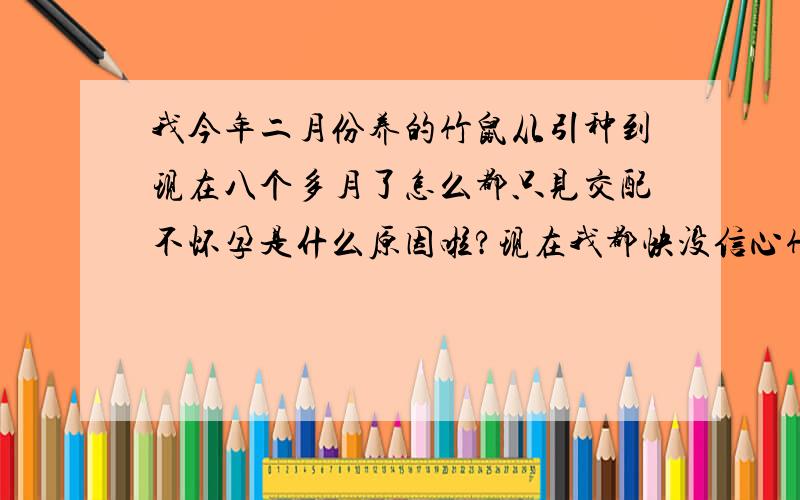 我今年二月份养的竹鼠从引种到现在八个多月了怎么都只见交配不怀孕是什么原因啦?现在我都快没信心竹鼠交配不怀孕的原因