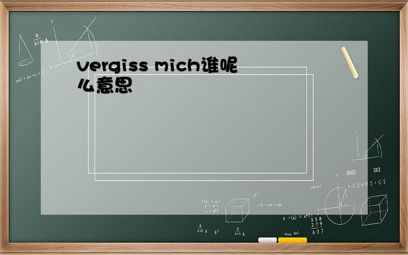 vergiss mich谁呢么意思