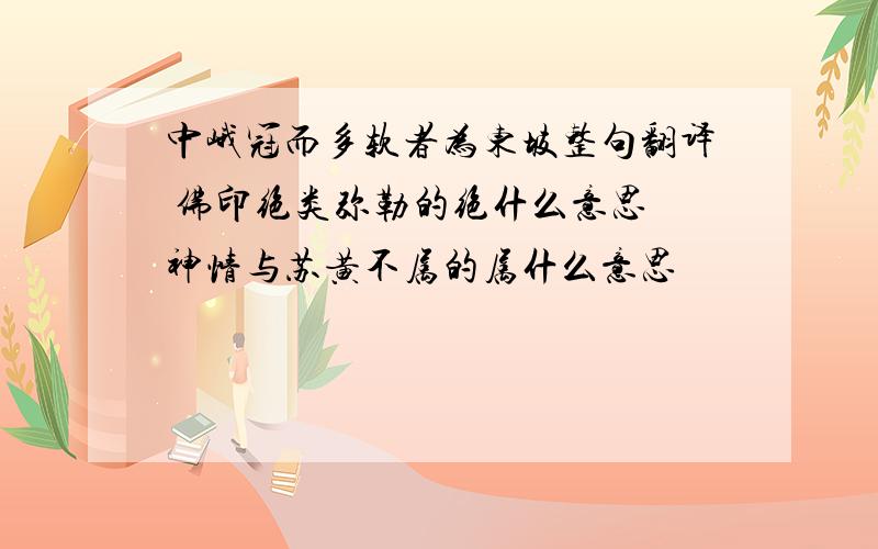 中峨冠而多软者为东坡整句翻译 佛印绝类弥勒的绝什么意思 神情与苏黄不属的属什么意思