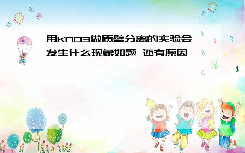 用KNO3做质壁分离的实验会发生什么现象如题 还有原因