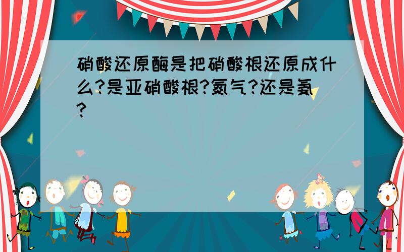 硝酸还原酶是把硝酸根还原成什么?是亚硝酸根?氮气?还是氨?