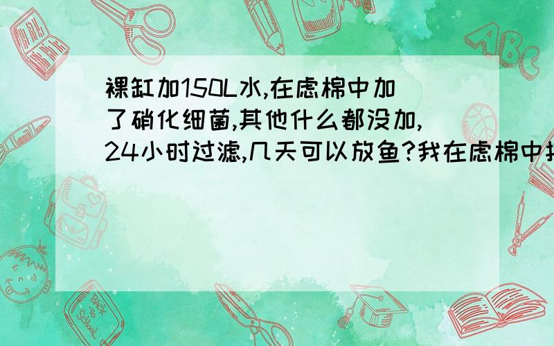 裸缸加150L水,在虑棉中加了硝化细菌,其他什么都没加,24小时过滤,几天可以放鱼?我在虑棉中按比例加了硝化细菌,24小时过滤超过30小时,水并没有像网上说的会变浑浊再变清,水里没有鱼会有硝