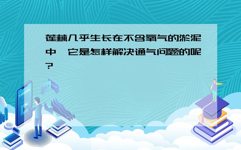 莲藕几乎生长在不含氧气的淤泥中,它是怎样解决通气问题的呢?