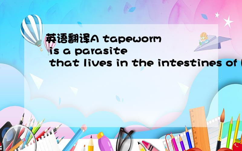 英语翻译A tapeworm is a parasite that lives in the intestines of humans and animals.Some tapeworms attach themselves to the intestinal wall by means of suckers in their heads.Others float freely in the intestines and absorb food through the walls