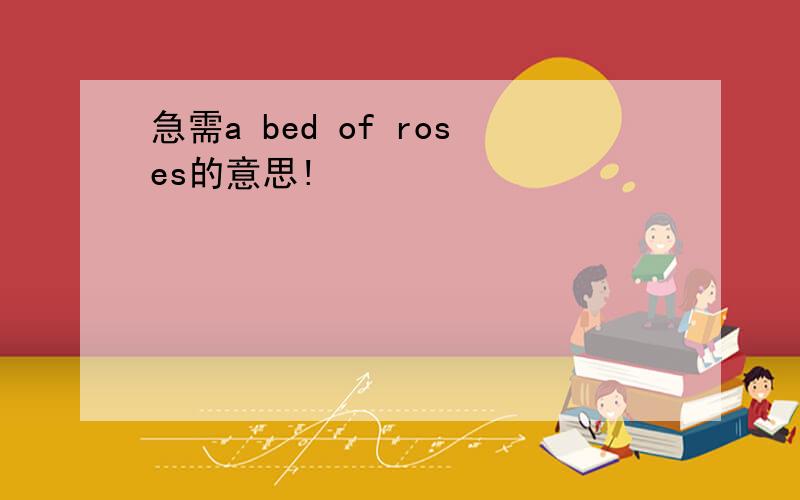 急需a bed of roses的意思!