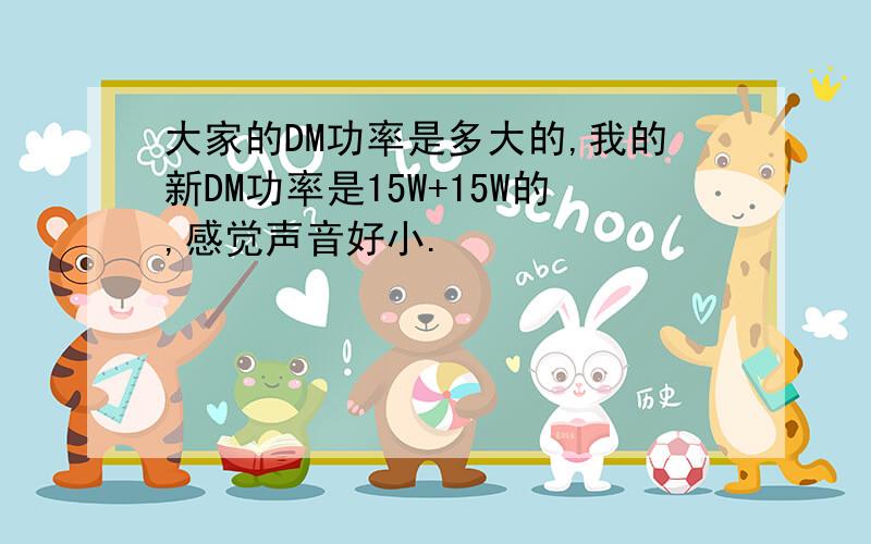 大家的DM功率是多大的,我的新DM功率是15W+15W的,感觉声音好小.