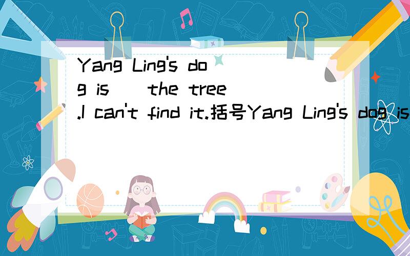 Yang Ling's dog is（）the tree.I can't find it.括号Yang Ling's dog is（）the tree.I can't find it.括号里填:A:behind B:under C:in