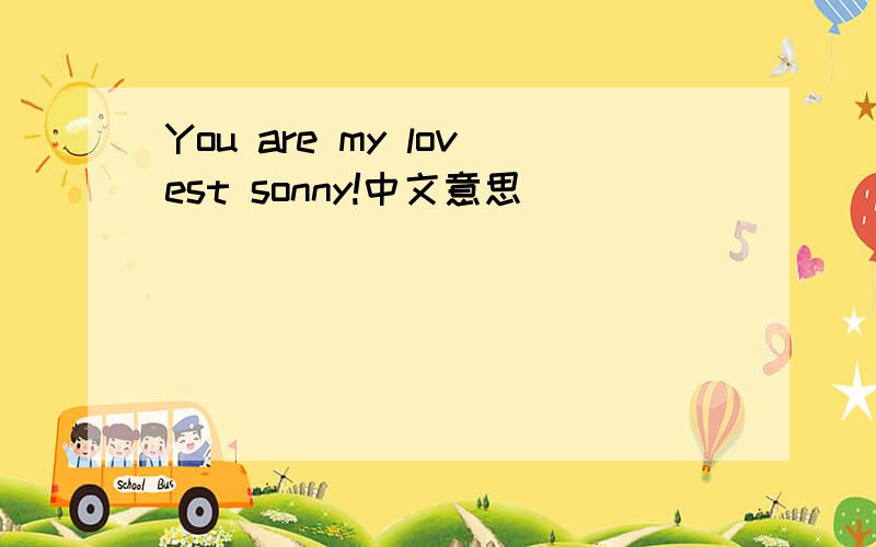 You are my lovest sonny!中文意思