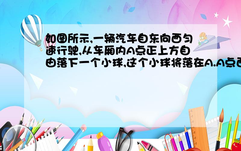 如图所示,一辆汽车自东向西匀速行驶,从车厢内A点正上方自由落下一个小球,这个小球将落在A.A点西面    B.A点东面   C.A点    D.A点南面或北面