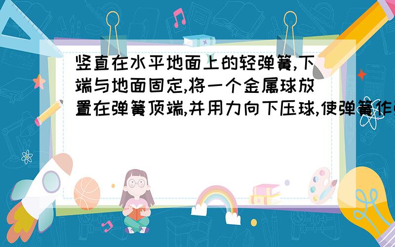 竖直在水平地面上的轻弹簧,下端与地面固定,将一个金属球放置在弹簧顶端,并用力向下压球,使弹簧作弹性压缩.稳定后用细先把弹簧栓牢.烧断细线球弹起,球脱离弹簧后仍能继续向上运动.那