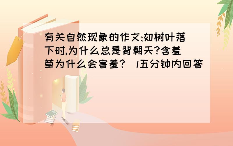 有关自然现象的作文:如树叶落下时,为什么总是背朝天?含羞草为什么会害羞?(l五分钟内回答）