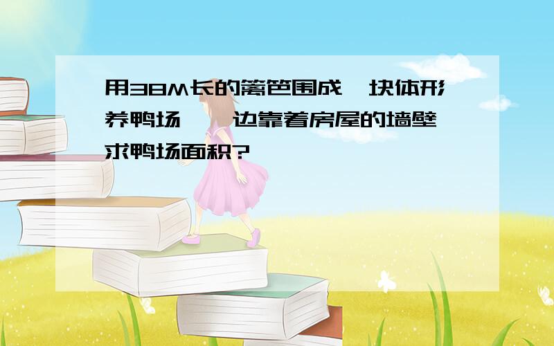 用38M长的篱笆围成一块体形养鸭场,一边靠着房屋的墙壁,求鸭场面积?