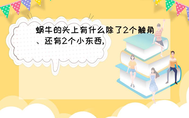 蜗牛的头上有什么除了2个触角、还有2个小东西,