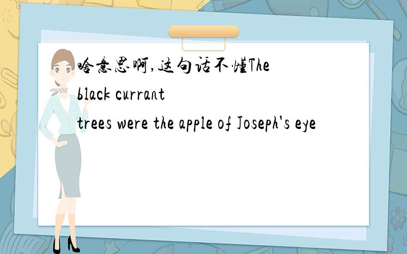 啥意思啊,这句话不懂The black currant trees were the apple of Joseph's eye