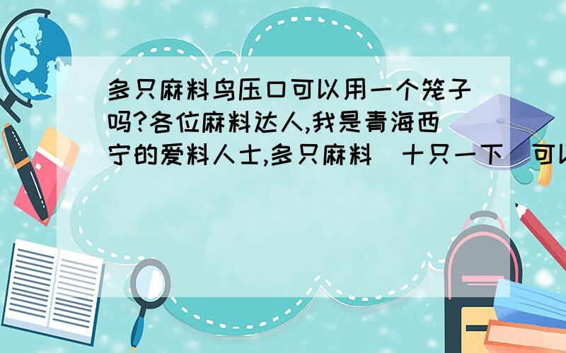 多只麻料鸟压口可以用一个笼子吗?各位麻料达人,我是青海西宁的爱料人士,多只麻料（十只一下）可以用一个笼子压口吗?我想用排笼一格一个,是不是比较好一点?还是空间太小?我的是秋料,