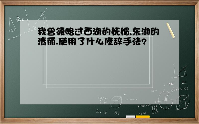 我曾领略过西湖的妩媚,东湖的清丽.使用了什么修辞手法?