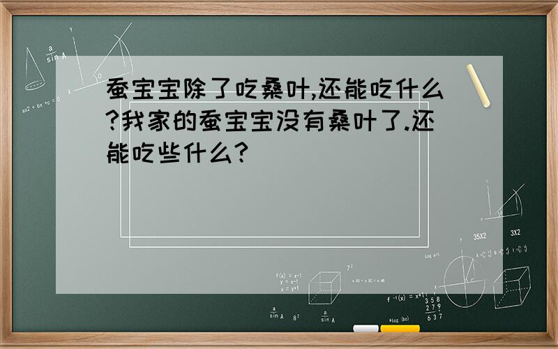 蚕宝宝除了吃桑叶,还能吃什么?我家的蚕宝宝没有桑叶了.还能吃些什么?