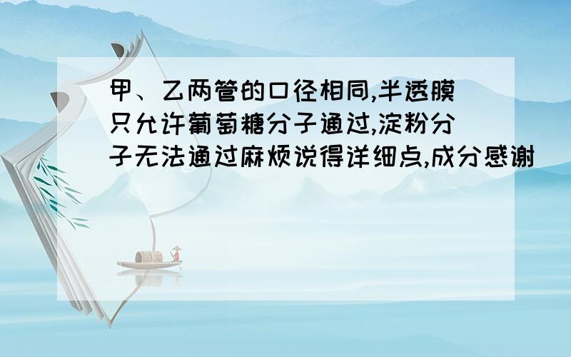 甲、乙两管的口径相同,半透膜只允许葡萄糖分子通过,淀粉分子无法通过麻烦说得详细点,成分感谢