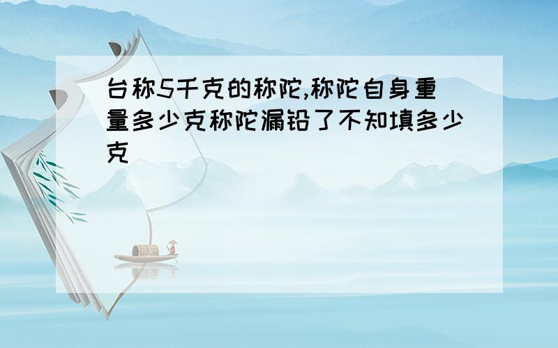 台称5千克的称陀,称陀自身重量多少克称陀漏铅了不知填多少克