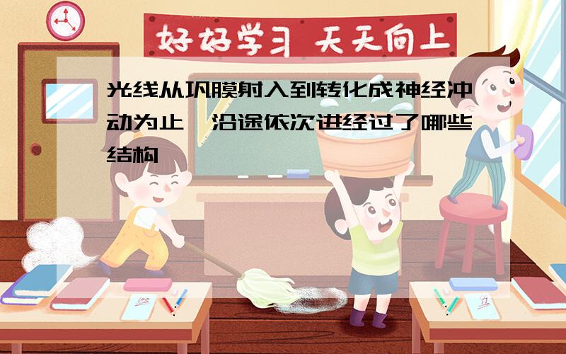 光线从巩膜射入到转化成神经冲动为止,沿途依次进经过了哪些结构