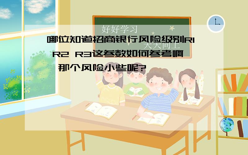 哪位知道招商银行风险级别R1 R2 R3这参数如何参考啊,那个风险小些呢?