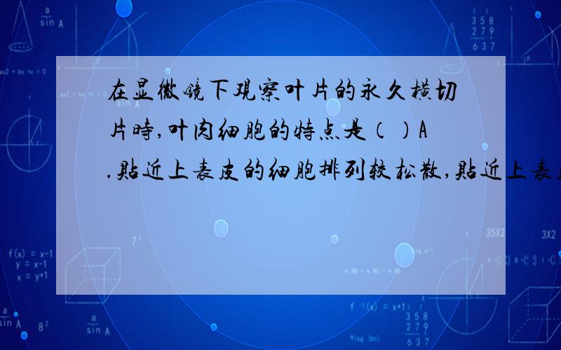 在显微镜下观察叶片的永久横切片时,叶肉细胞的特点是（）A.贴近上表皮的细胞排列较松散,贴近上表皮的细胞排列较整齐、内有叶脉B.贴近上表皮的细胞排列较整齐,贴近上表皮的细胞排列较