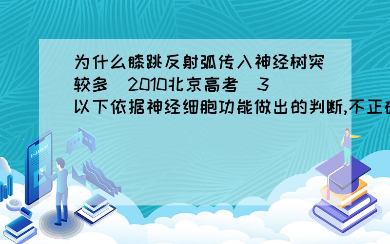 为什么膝跳反射弧传入神经树突较多（2010北京高考）3．以下依据神经细胞功能做出的判断,不正确的是  B．膝跳反射弧中传入（感觉）神经元的树突较多答案没选网上没有针对这个问题的解