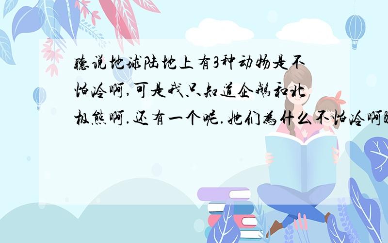 听说地球陆地上有3种动物是不怕冷啊,可是我只知道企鹅和北极熊啊.还有一个呢.她们为什么不怕冷啊😩😩😩