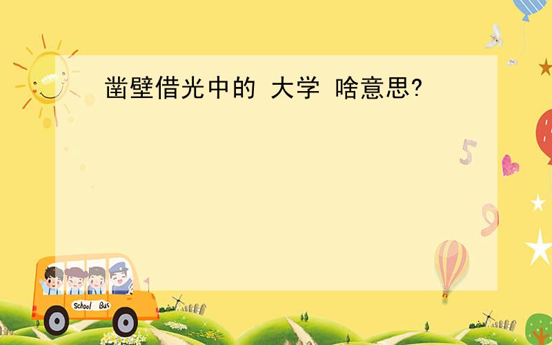 凿壁借光中的 大学 啥意思?