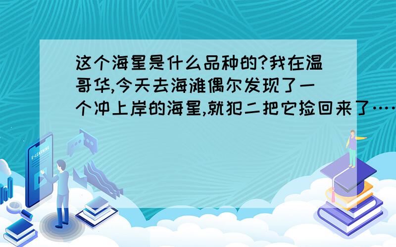 这个海星是什么品种的?我在温哥华,今天去海滩偶尔发现了一个冲上岸的海星,就犯二把它捡回来了……描述：手掌心大小,紫色.