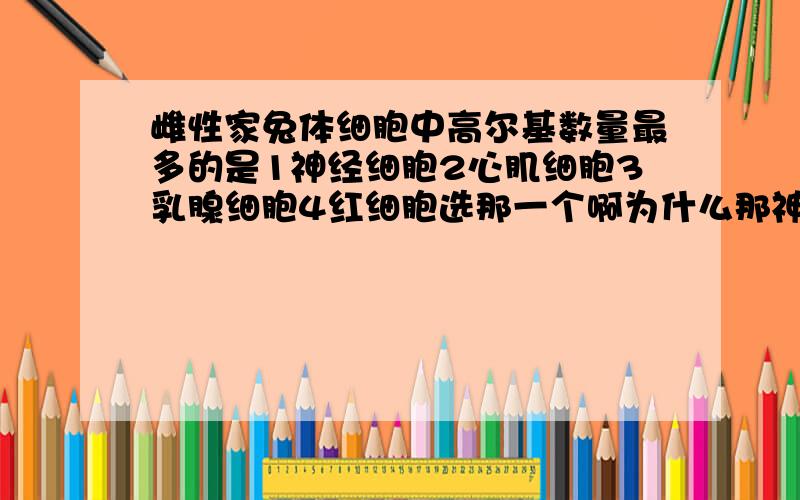 雌性家兔体细胞中高尔基数量最多的是1神经细胞2心肌细胞3乳腺细胞4红细胞选那一个啊为什么那神经细胞心肌细胞红细胞就没有分泌物吗?