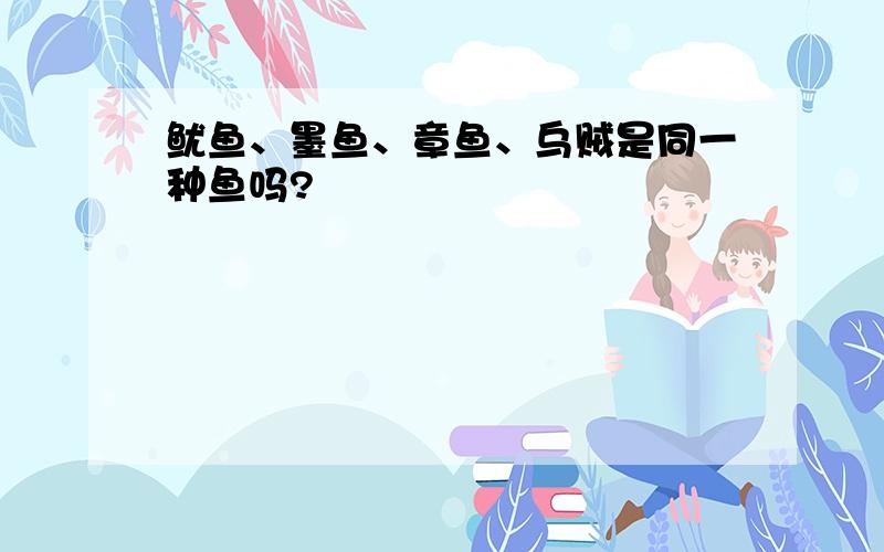 鱿鱼、墨鱼、章鱼、乌贼是同一种鱼吗?