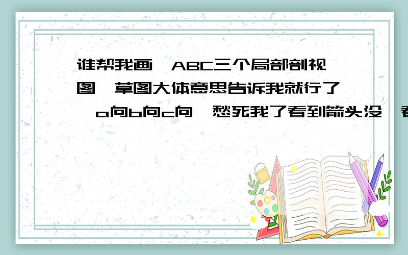 谁帮我画,ABC三个局部剖视图,草图大体意思告诉我就行了,a向b向c向,愁死我了看到箭头没,看不清楚问我