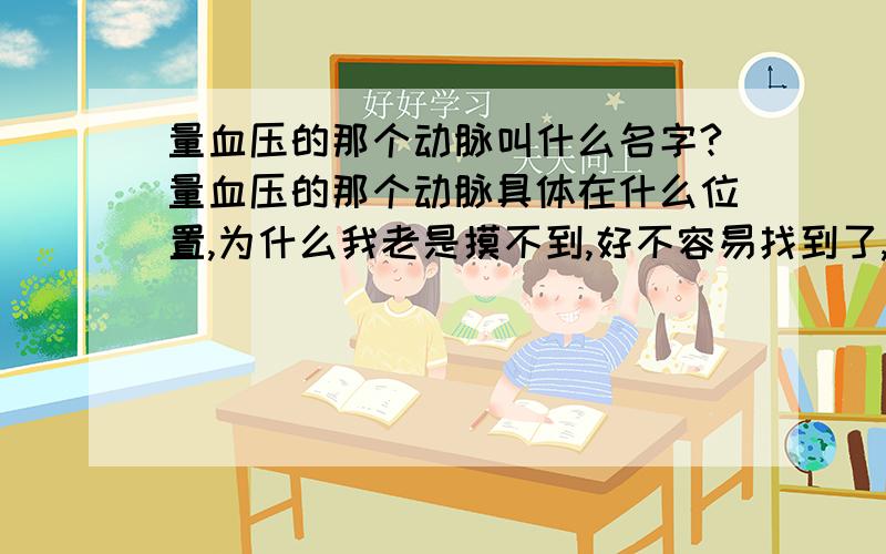 量血压的那个动脉叫什么名字?量血压的那个动脉具体在什么位置,为什么我老是摸不到,好不容易找到了,为什么一放手又摸不到了,